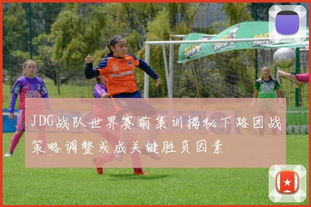 JDG战队世界赛前集训揭秘下路团战策略调整或成关键胜负因素